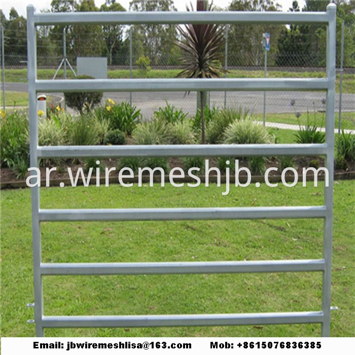 Galvanized Cattle And Horse Fence Panel